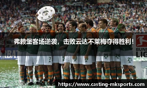 MK体育官网