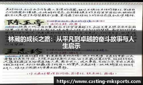 mk体育