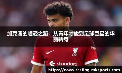 mk体育